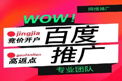 竞价推广SEM托管的成功之路——某行业领军企业的实践